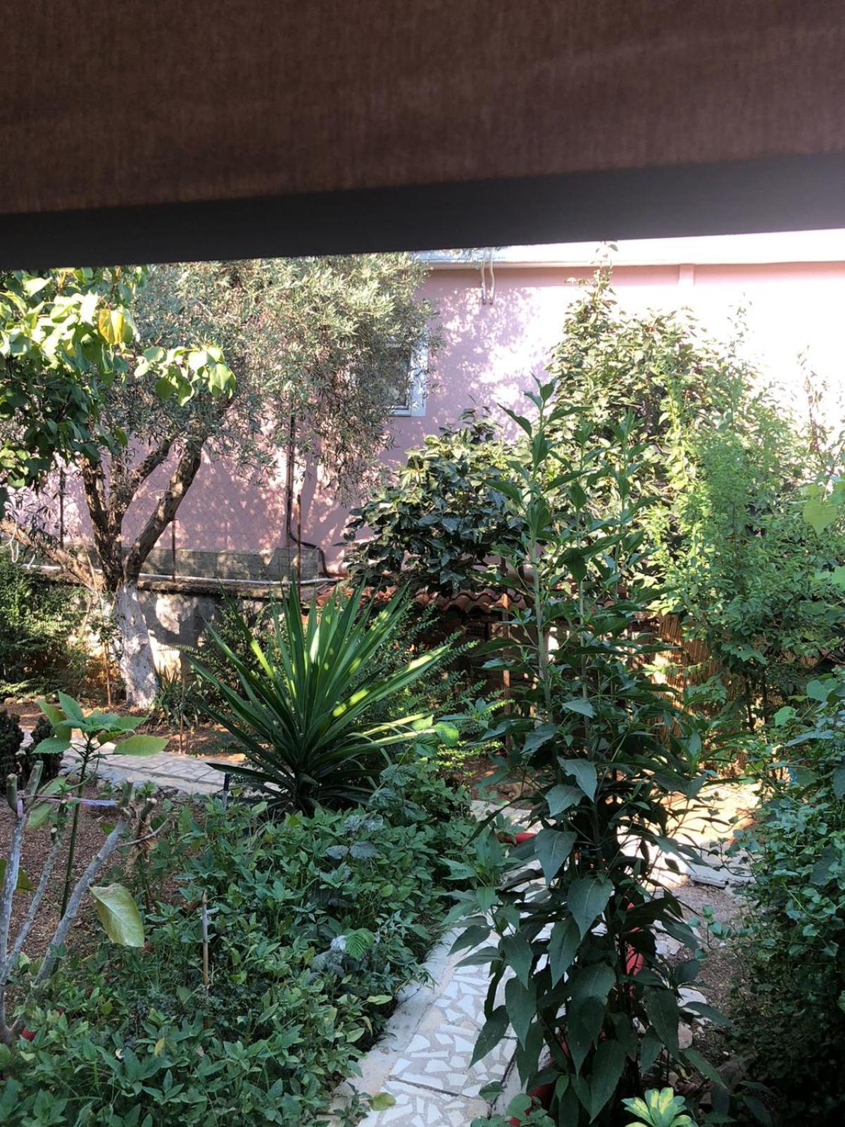 Mona'S Guesthouse ساراندا المظهر الخارجي الصورة